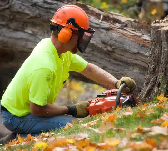 tree services Adelino